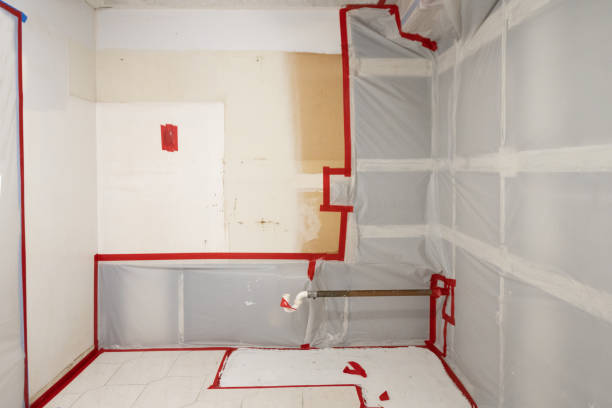 Best Mold Removal for HVAC Installations  in Grayson, GA